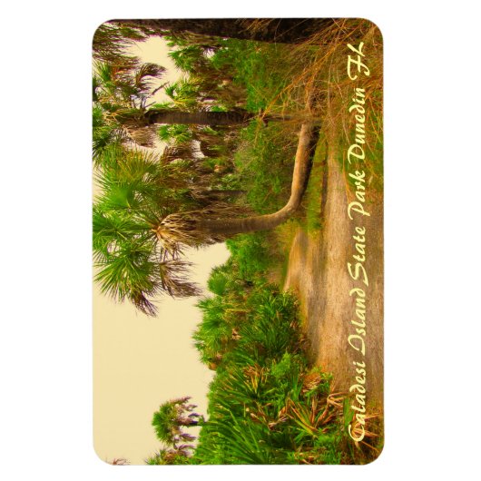 Caladesiアイランドダネディンフレキシマグネット マグネット (縦)