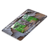 Caladesi島Flハープツリープレミアムフレキシマグネット マグネット (左側)