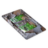 Caladesi島Flハープツリープレミアムフレキシマグネット マグネット (右側)