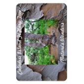 Caladesi島Flハープツリープレミアムフレキシマグネット マグネット (縦)