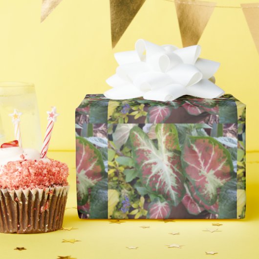 Caladium Garden Gardeners Delight Design ラッピングペーパー (誕生日パーティー)