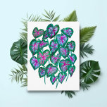 Caladiums Pink & Green Leaves Watercolor Art ポストカード<br><div class="desc">Are you a fan of caladiums? Send these colorful watercolor leaves to your friends and family. Add your own text!
Thanks for shopping my art! Check out my other postcards and items and be sure to tag me on instagram @shoshannahscribbles</div>