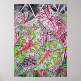 caladiums_plant_絵画s ポスター