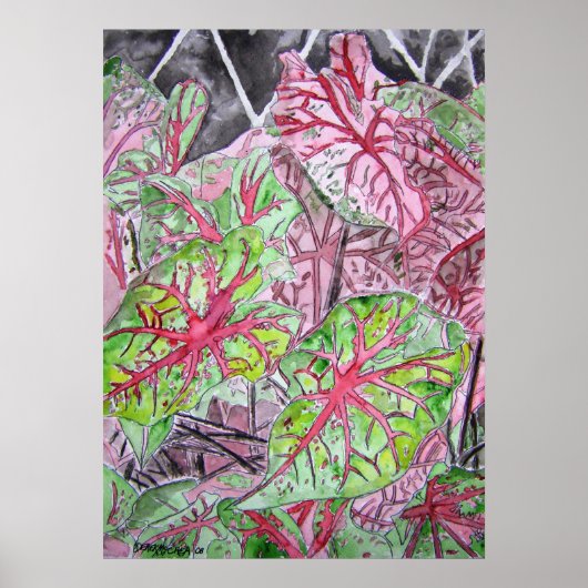 caladiums_plant_絵画s ポスター (正面)