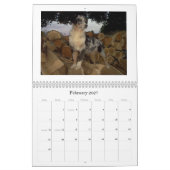 Calanderオーストラリアの羊飼い カレンダー (2月 2027)