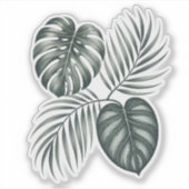 Calathea leaf シール (正面)