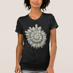 Calcarinaのclavigeraのエルンスト・ヘッケルのファインアート Tシャツ