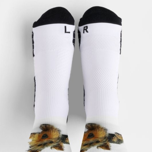 calcetines feos perro ソックス (上部)