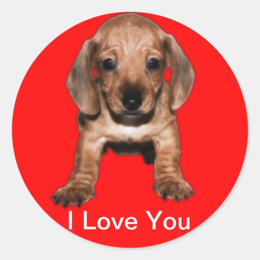 Calcomanía redonda teckel ラウンドシール (正面)