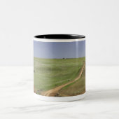 Caledon、西ケープ州の近くの花盛りのaloes ツートーンマグカップ (中央)