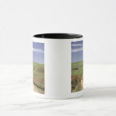 Caledon、西ケープ州の近くの花盛りのaloes マグカップ (中央)