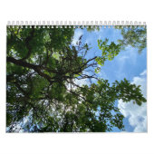 Calendar カレンダー (カバー)