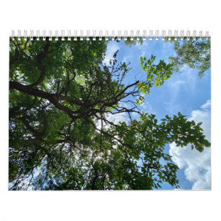 Calendar カレンダー