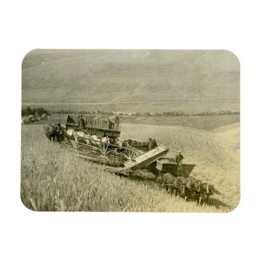 Calendar マグネット (横)