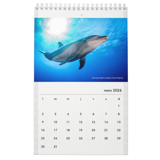 Calendar 2022 RANGIROA  カレンダー (3月 2026)