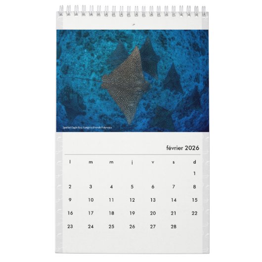 Calendar 2022 RANGIROA カレンダー (2月 2026)