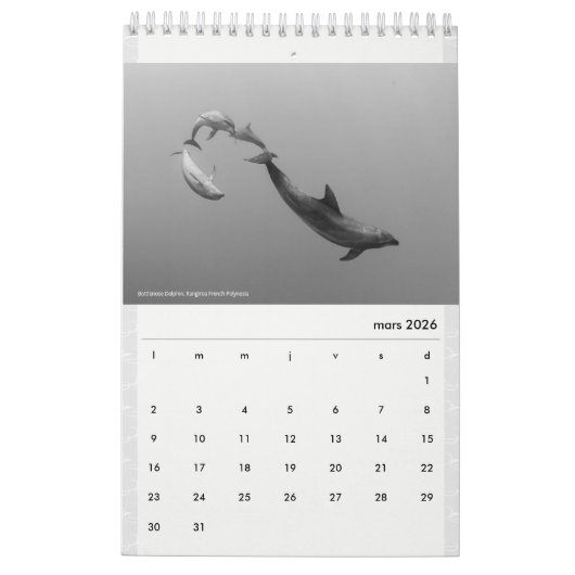 Calendar 2022 RANGIROA BW カレンダー (3月 2026)