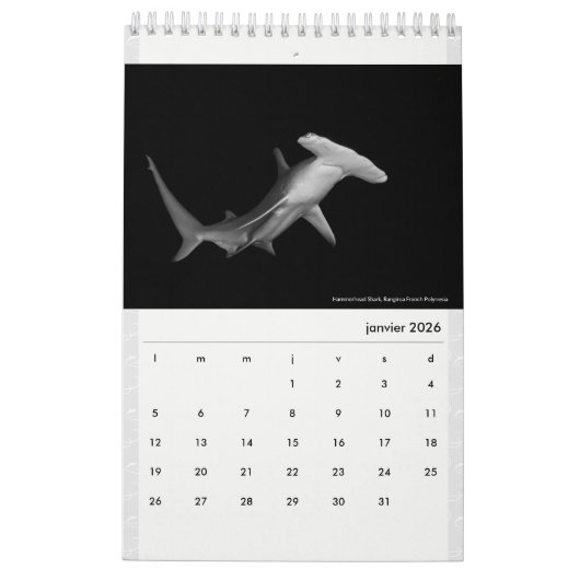 Calendar 2022 RANGIROA BW カレンダー (1月 2026)