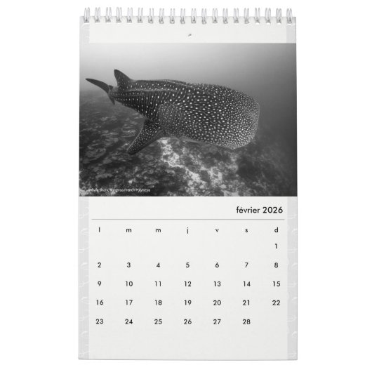 Calendar 2022 RANGIROA BW カレンダー (2月 2026)