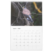 Calendar 2026 Scottish Wildlife  カレンダー (3月 2027)