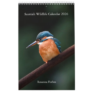 Calendar 2026 Scottish Wildlife  カレンダー