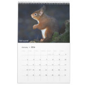 Calendar 2026 Scottish Wildlife  カレンダー (1月 2026)