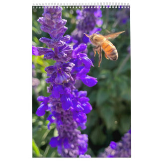 Calendar bees butterflys カレンダー