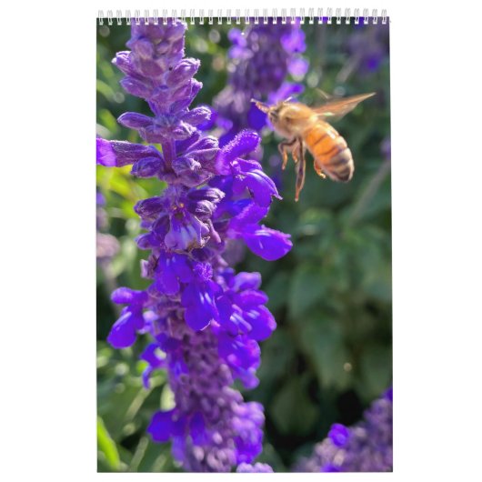 Calendar bees butterflys カレンダー (カバー)