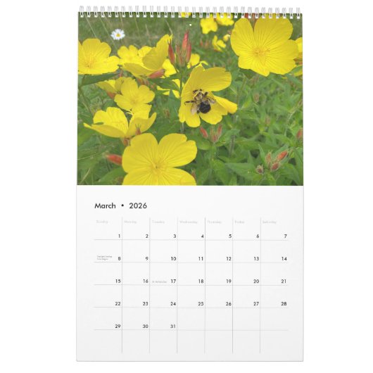 Calendar bees butterflys カレンダー (3月 2026)