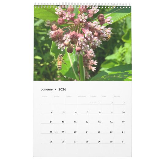 Calendar bees butterflys カレンダー (1月 2026)