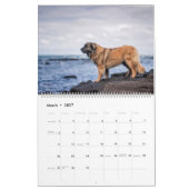Calendar - Leonberger Ladies カレンダー (3月 2027)