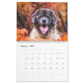 Calendar - Leonberger Ladies カレンダー (2月 2027)