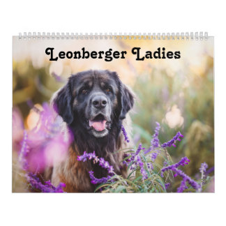 Calendar - Leonberger Ladies カレンダー