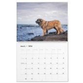 Calendar - Leonberger Ladies カレンダー (3月 2026)