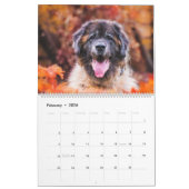 Calendar - Leonberger Ladies カレンダー (2月 2026)
