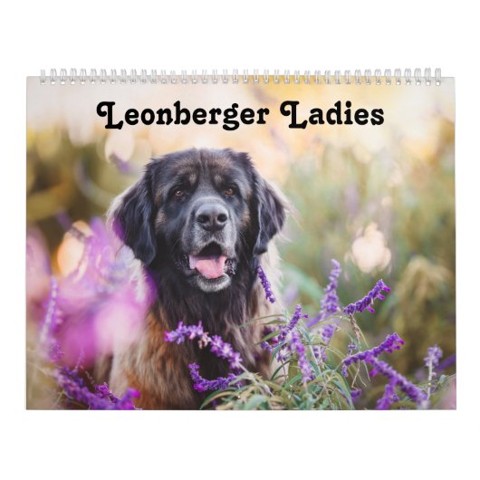 Calendar - Leonberger Ladies カレンダー (カバー)