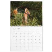 Calendar Pacific Northwest Wildlife (c)2026 カレンダー (3月 2026)