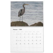 Calendar Pacific Northwest Wildlife (c)2026 カレンダー (2月 2026)