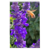 Calendar Pollinators: Bees and Butterflies カレンダー (カバー)