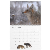 Calendar 'Wild at Last' 2026 カレンダー (2月 2027)
