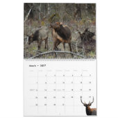 Calendar 'Wild at Last' 2026 カレンダー (3月 2027)