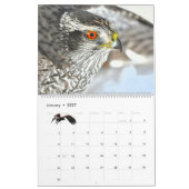 Calendar 'Wild at Last' 2026 カレンダー (1月 2027)
