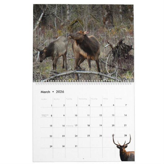 Calendar 'Wild at Last' 2026 カレンダー (3月 2026)