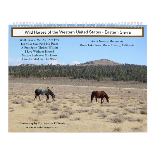 Calendar, Wild Horses, Eastern Sierra, California カレンダー (カバー)