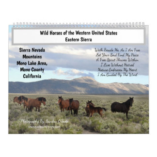 Calendar, Wild Horses, Eastern Sierra, California カレンダー