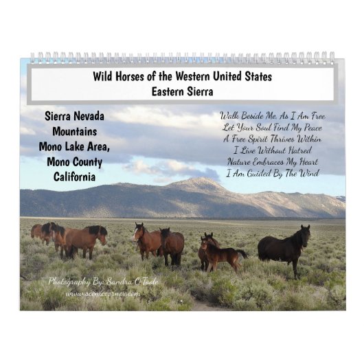 Calendar, Wild Horses, Eastern Sierra, California カレンダー (カバー)