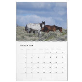 Calendar, Wild Horses, Eastern Sierra, California カレンダー (1月 2026)
