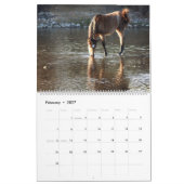 Calendar, wild horses, salt river, Arizona カレンダー (2月 2027)