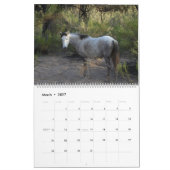 Calendar, wild horses, salt river, Arizona カレンダー (3月 2027)