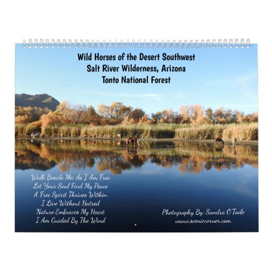 Calendar, wild horses, salt river, Arizona カレンダー (カバー)